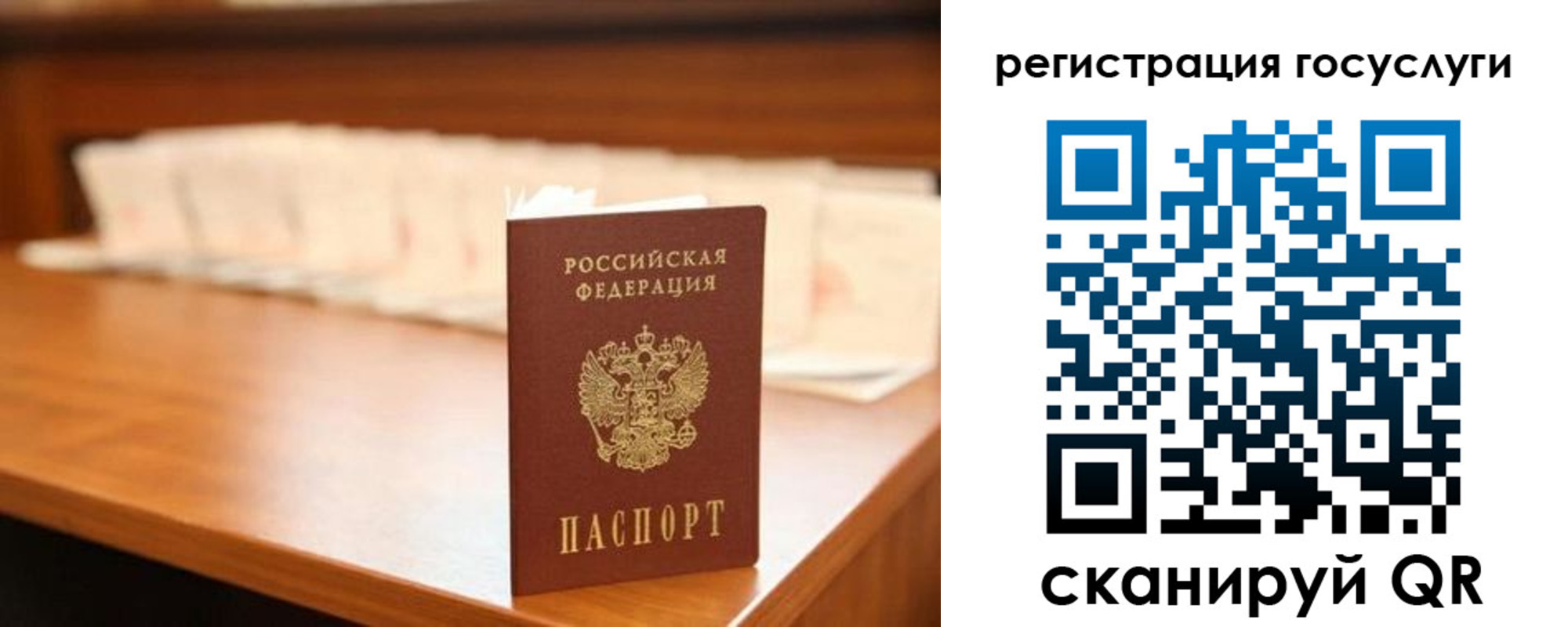 прописка в квартире в Сальске