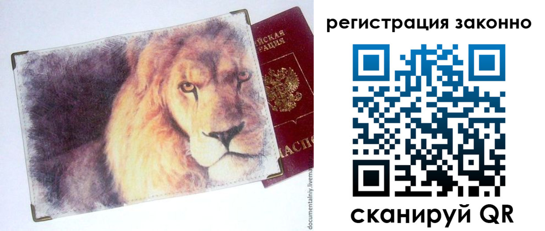 прописка гарантия в Сальске