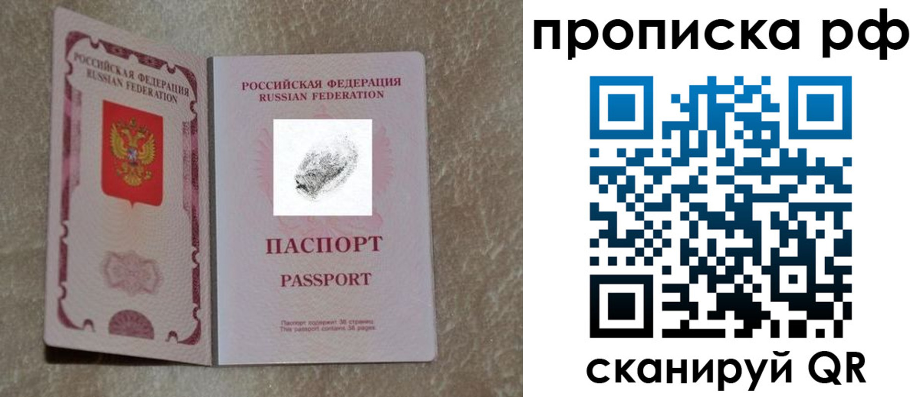 прописка поиск в Сальске